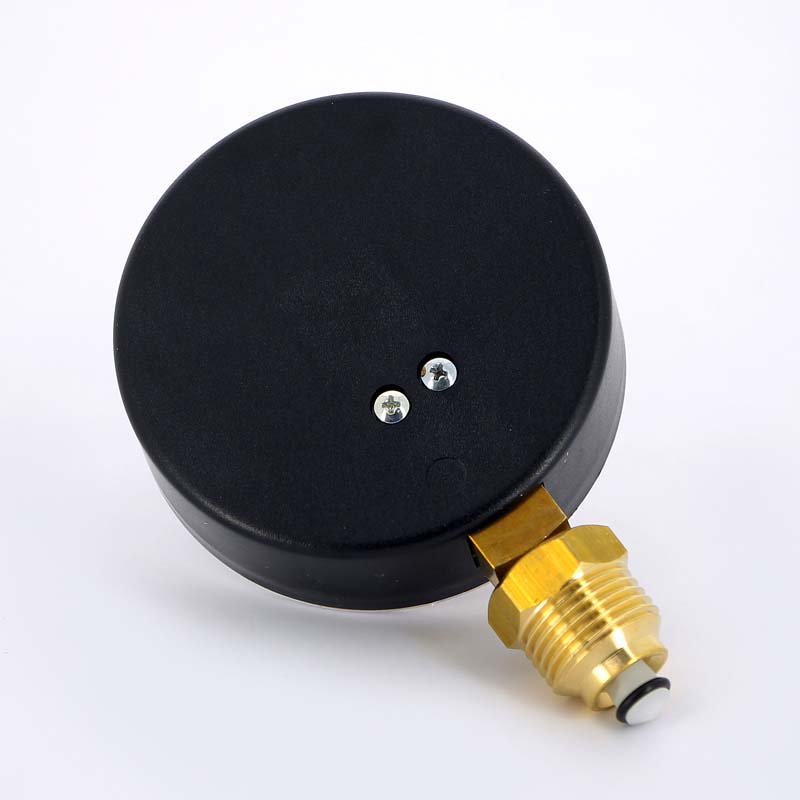 Термоманометр радиальный F+R828 WATTS Ind 2,5 бар 120 град.C 10009472 - Вид №2