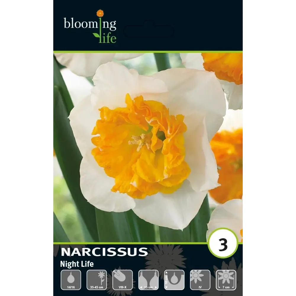 Луковицы нарцисса Найт Лайф 14/16 - многолетние белые цветы для сада 89433021 Santreyd STLM-1584456