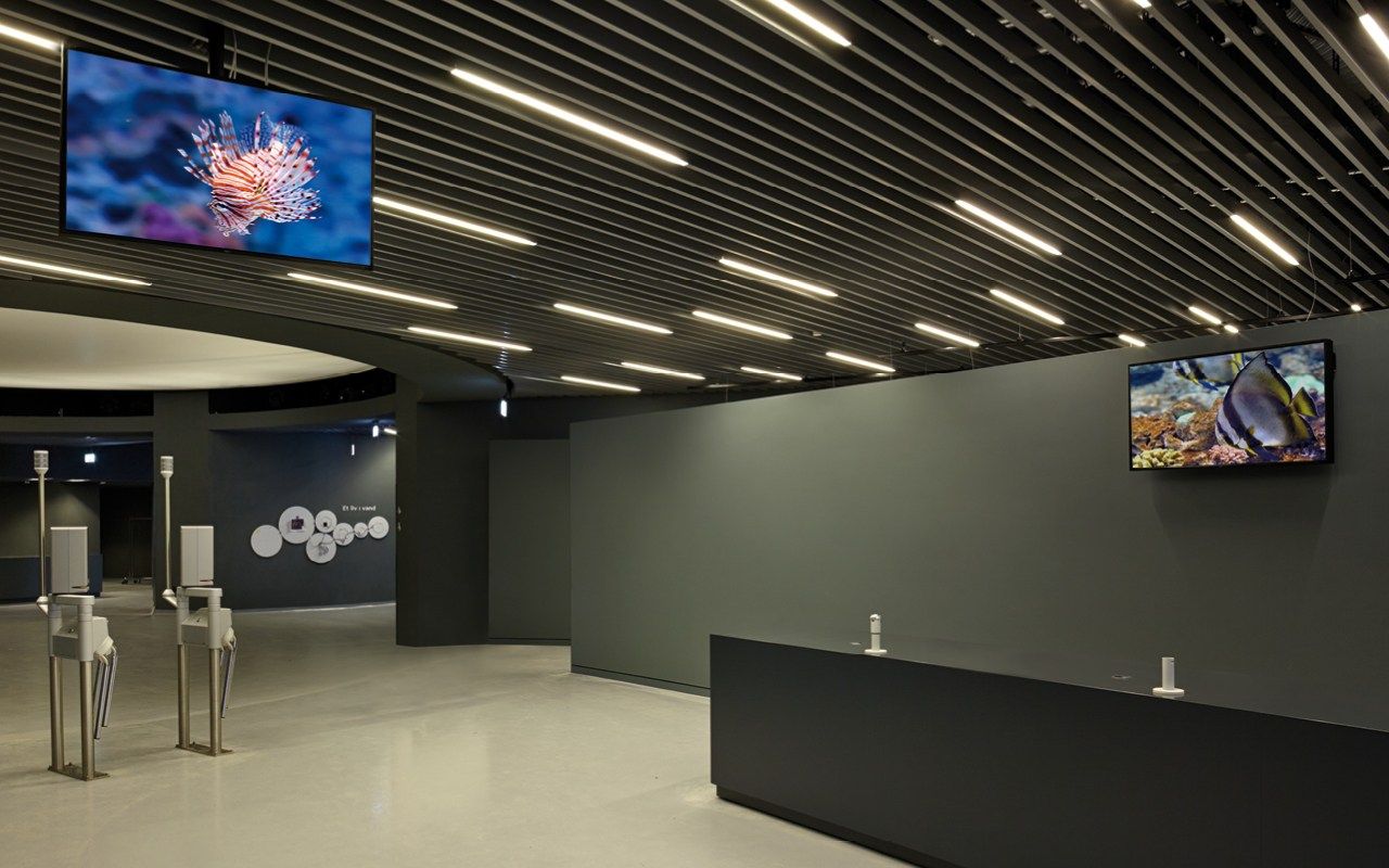 Подвесная акустическая панель atena ATENA BAFFLE ARCH-00057936 - Вид №8