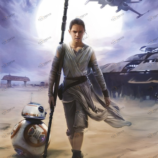 4-448-STAR-WARS-Rey Фотообои Komar Disney 2.54х1.84 м 4448STARWARSREY