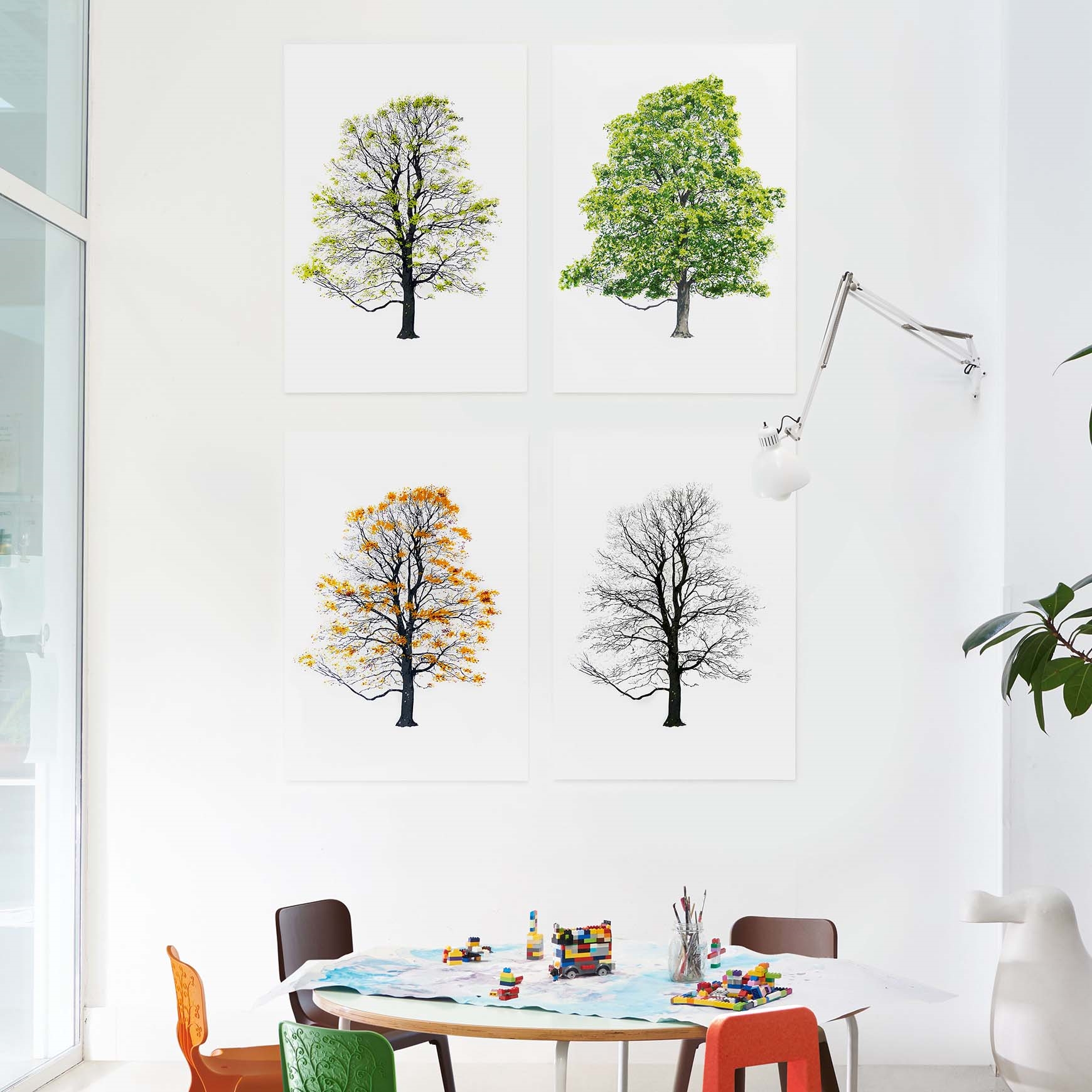 Дерево Magis sun-id-1329002 - Вид №7