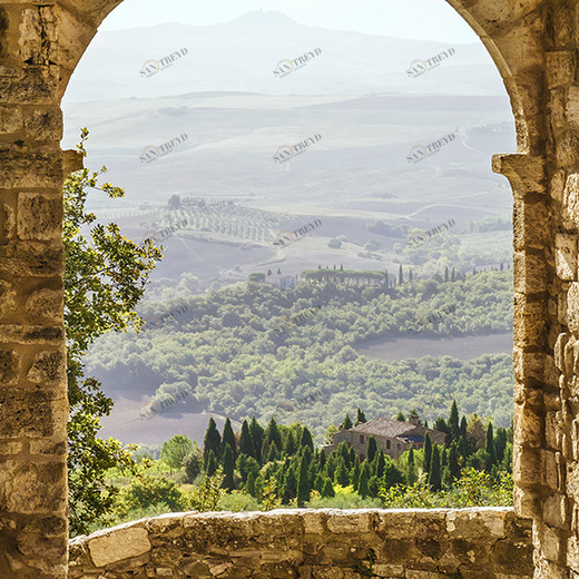 B1-005 Фотообои DIVINO Collection B 2.7х2 м B1005