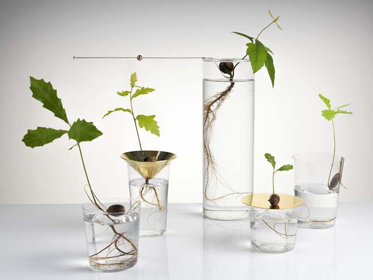 Набор аксессуаров из латуни для растений Michael Anastassiades FLOATING FOREST ARCH-00094864