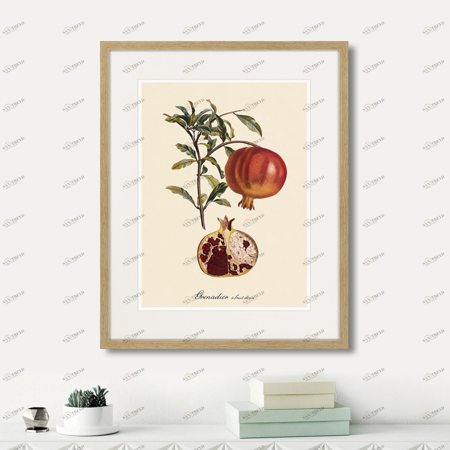 Картина в раме 52х42 см Juicy fruit lithography №7, 1870г. КАРТИНЫ В КВАРТИРУ  264435 Зеленый;красный;разноцветный 