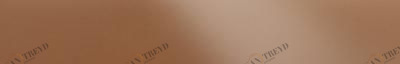 Декор брикс полированная 1200x195 Керамика Будущего sun-id-325022