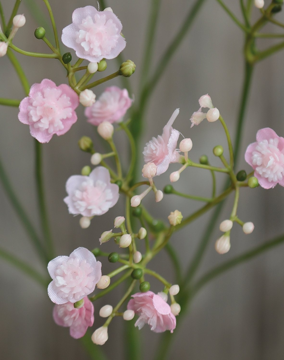 3088 508 a3 Искусственная гипсофила, 70 см, розово-зеленая H-andreas  - Вид №2