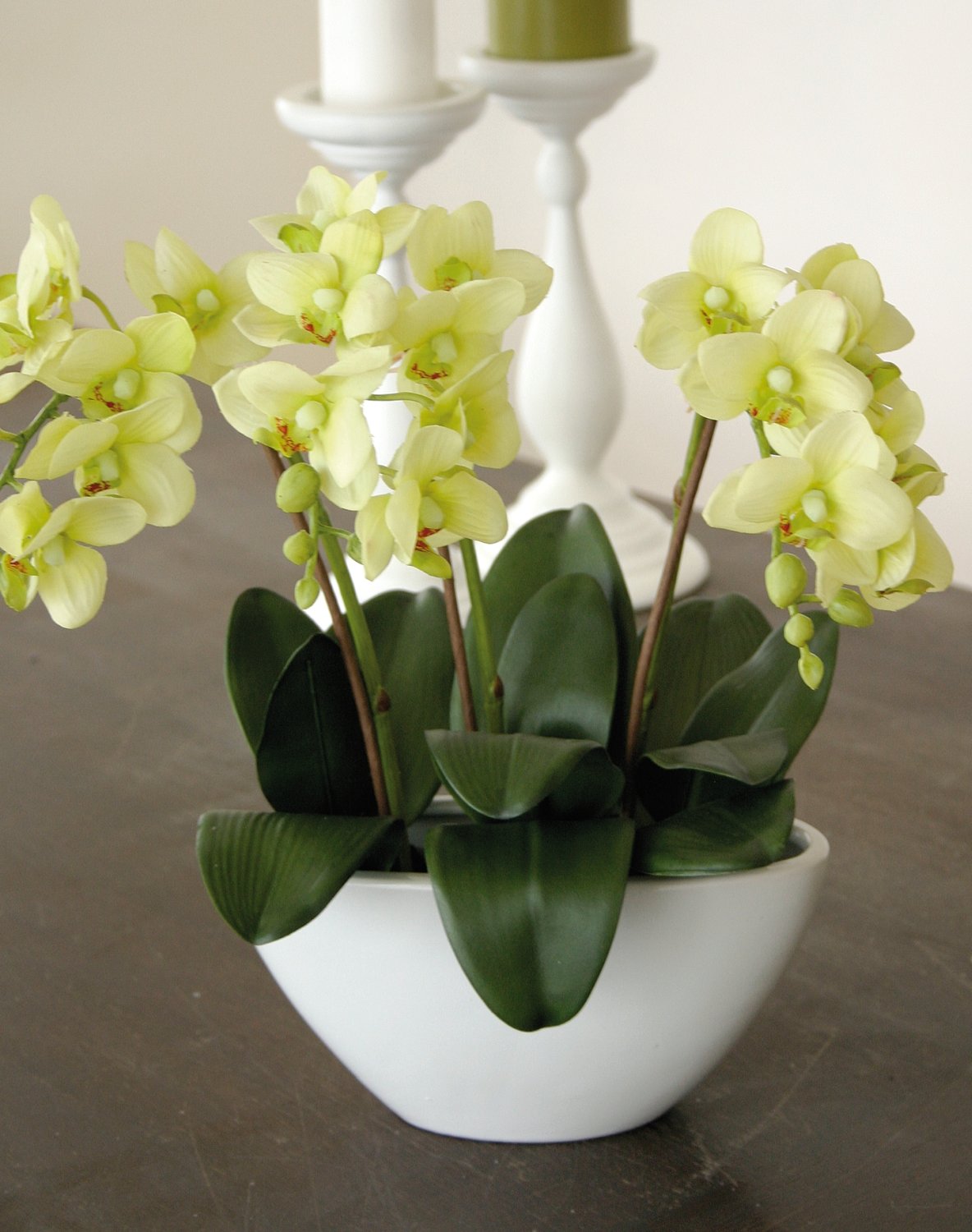2609 788 a3 Искусственная орхидея Фаленопсис, кремово-зеленая H-andreas  - Вид №2
