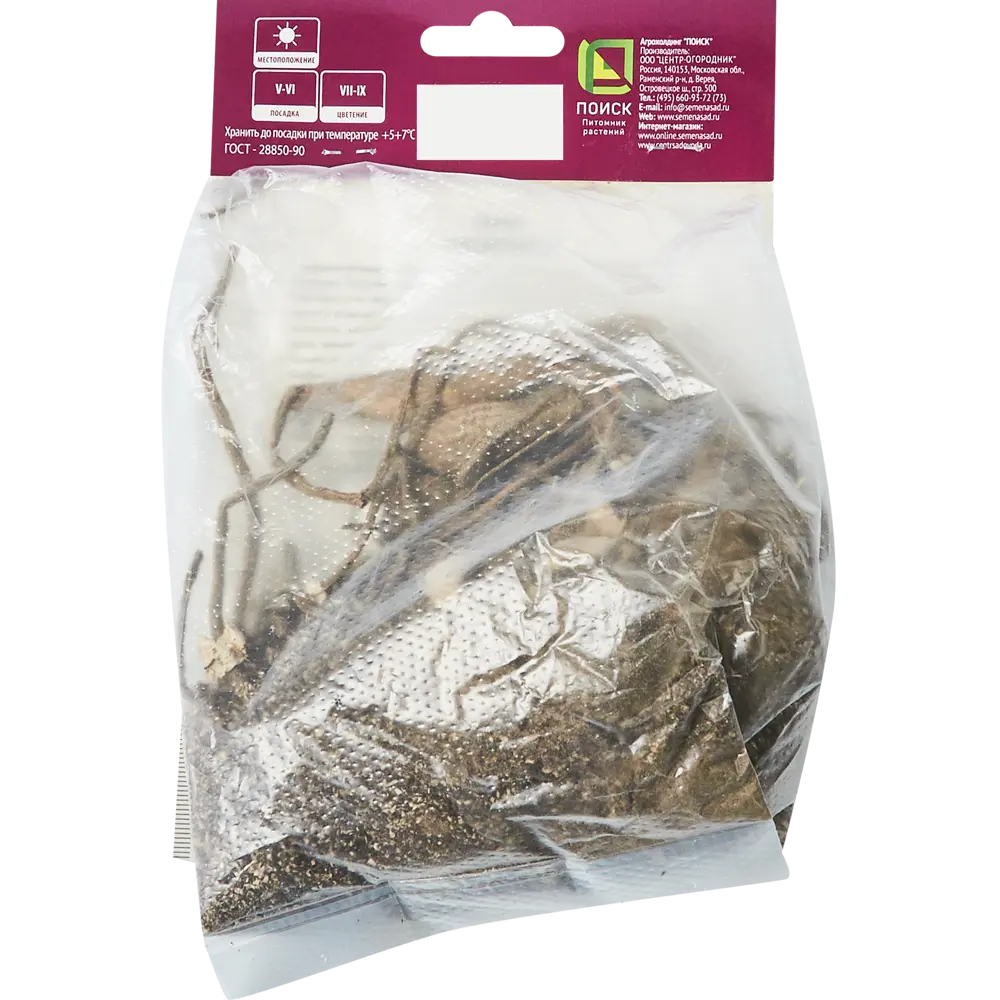 Георгина декоративная Санта Клаус ПОИСК STLM-2024859 - Вид №1