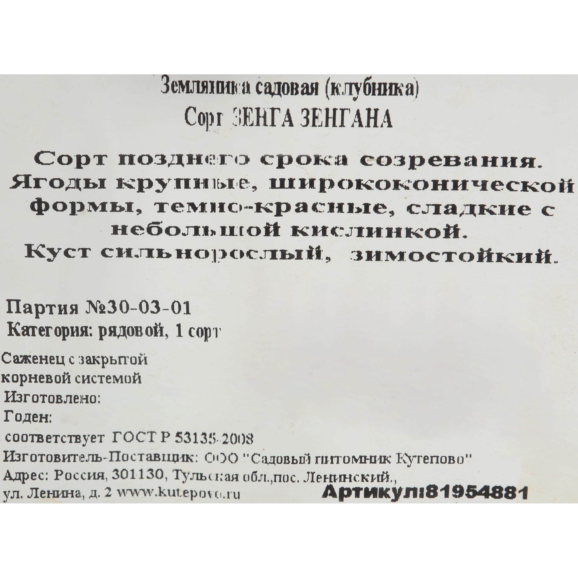81954881 Земляника садовая «Зенга Зенгана» (клубника) Santreyd  - Вид №2
