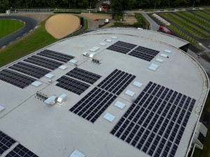 Полимерная мембрана из ПВХ