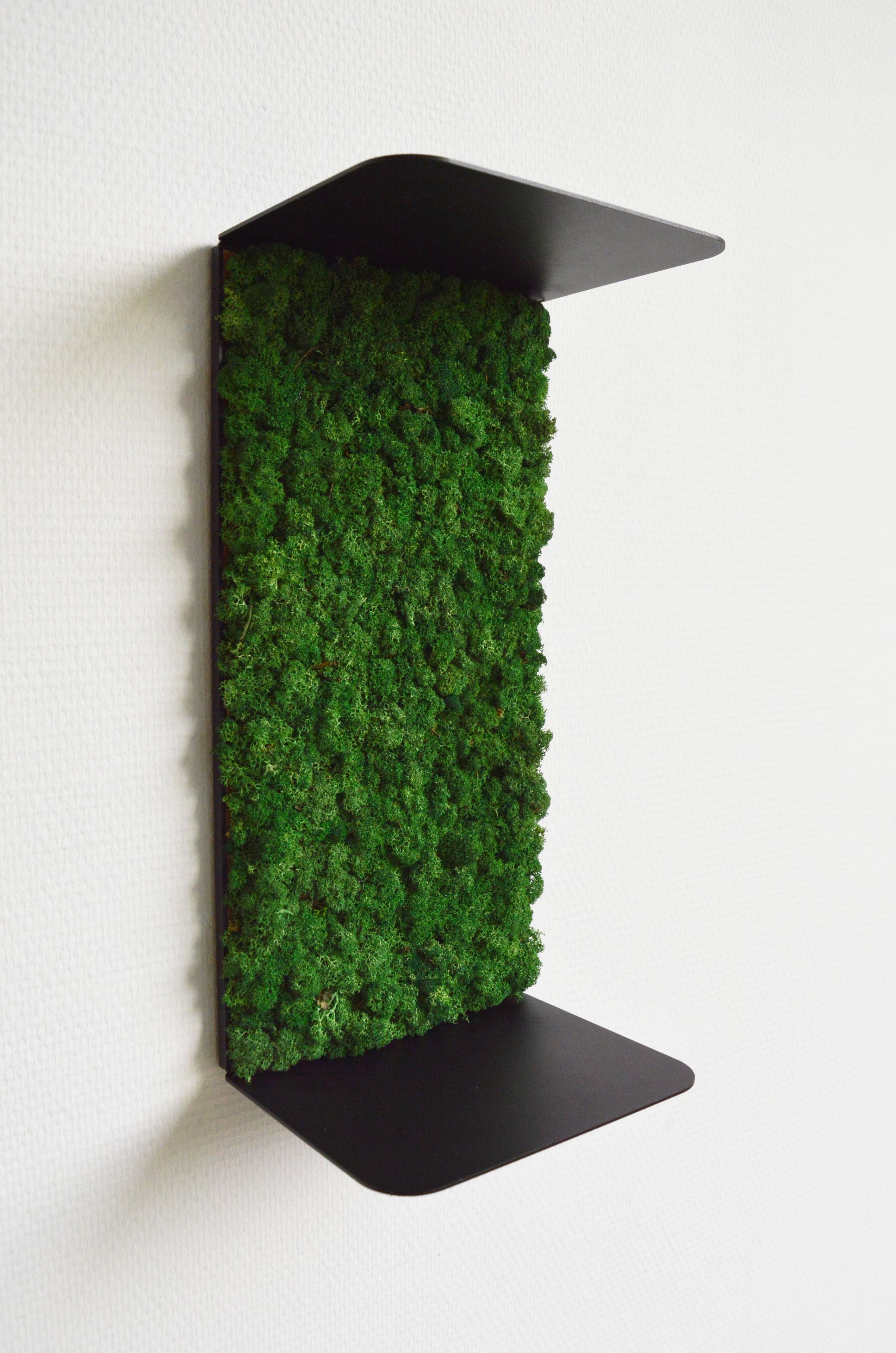 Звукопоглощающая полка из мха GREENMOOD ORIGAMI ARCH-00074294 - Вид №22