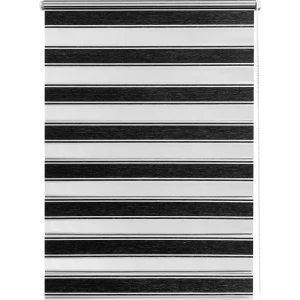 Штора рулонная день-ночь Дэли 60x160 см серая 84421631 STLM-2039470