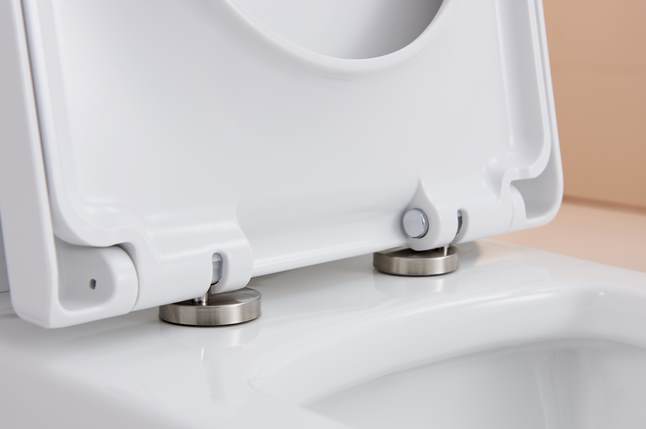 CT2045 Напольный унитаз SSWW CT  - Вид №1