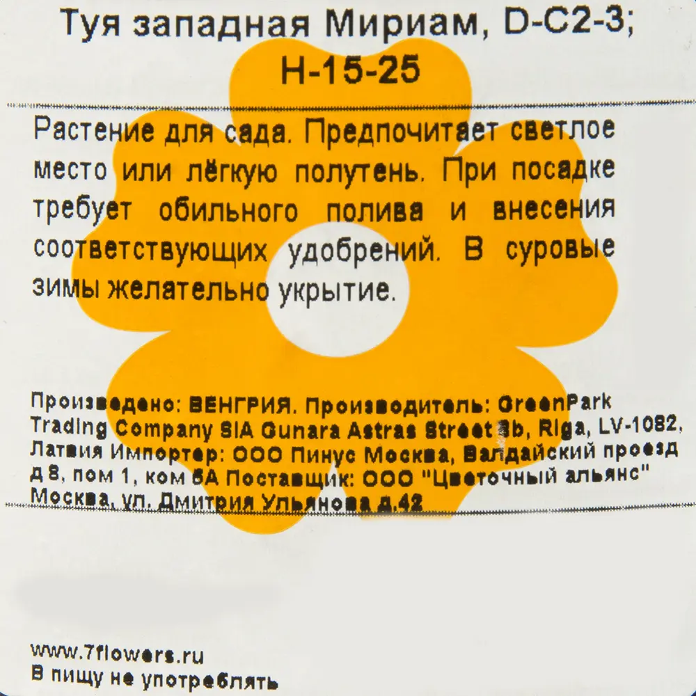 Туя западная «Мириам» 2-3 л 15-25 см 82176354 STLM-2187047 Santreyd  - Вид №1