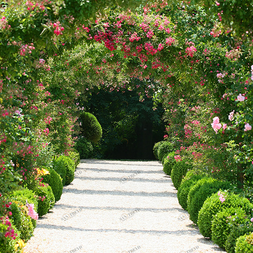 B1-013 Фотообои DIVINO Collection B 2.7х2 м B1013