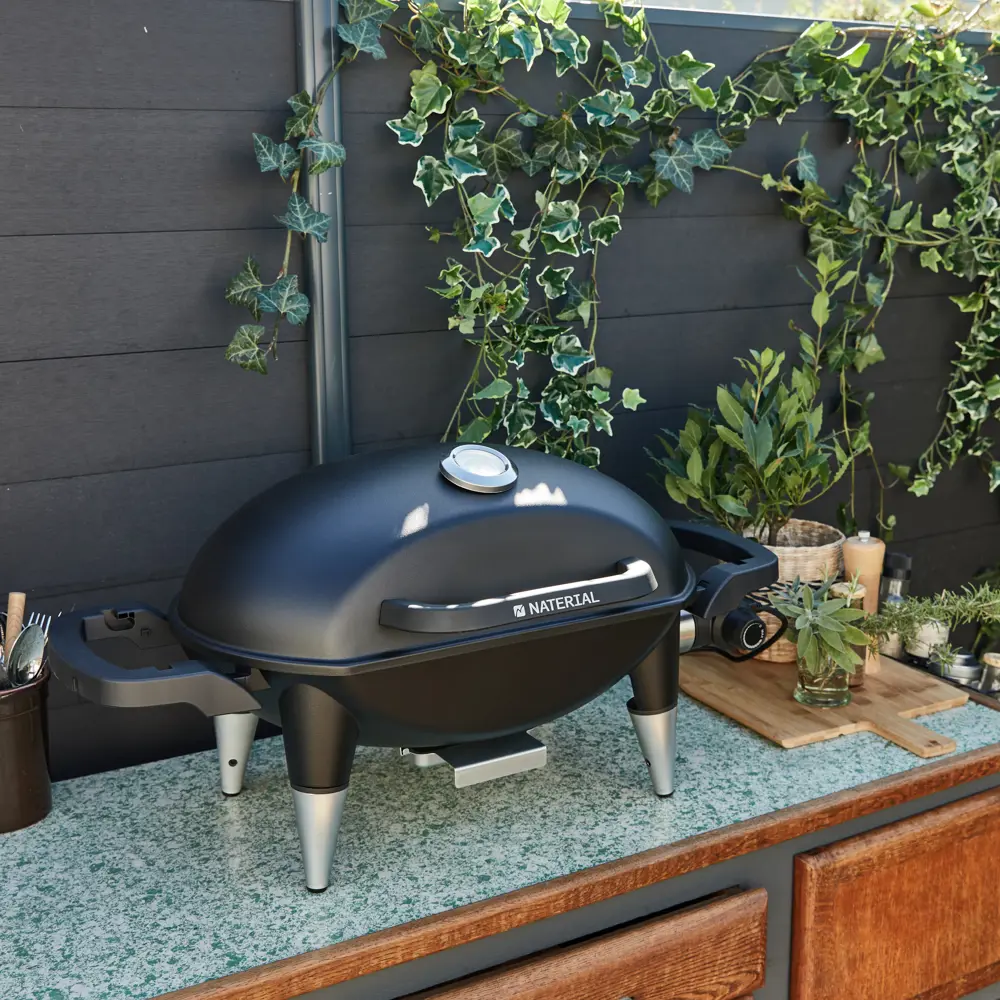 Электрический гриль Naterial Hyperion для идеального барбекю 84279660 STLM-0048040 - Вид №26