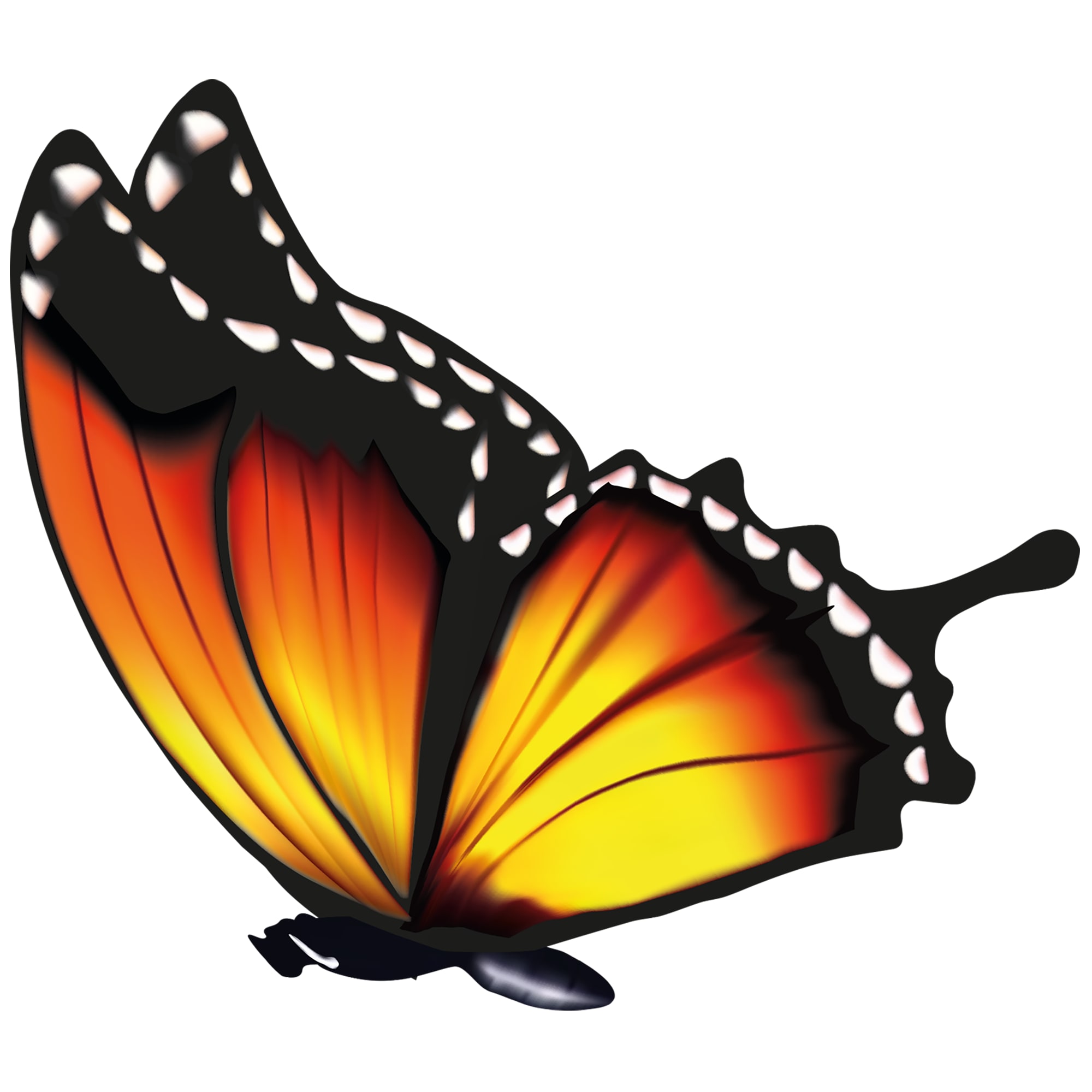 82550376 Наклейка «Бабочки из тропиков» 17х23 см Santreyd  - Вид №1