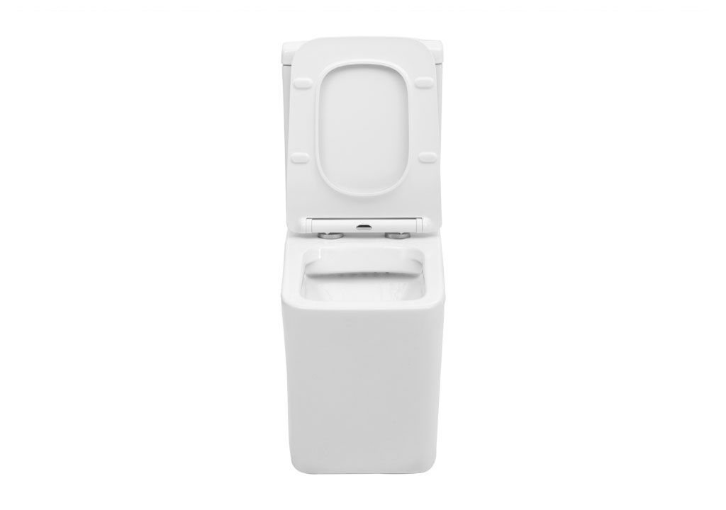 BL103NTPT Компакт унитаз с бачком Белый Aquanet TAVR Китай - Вид №2