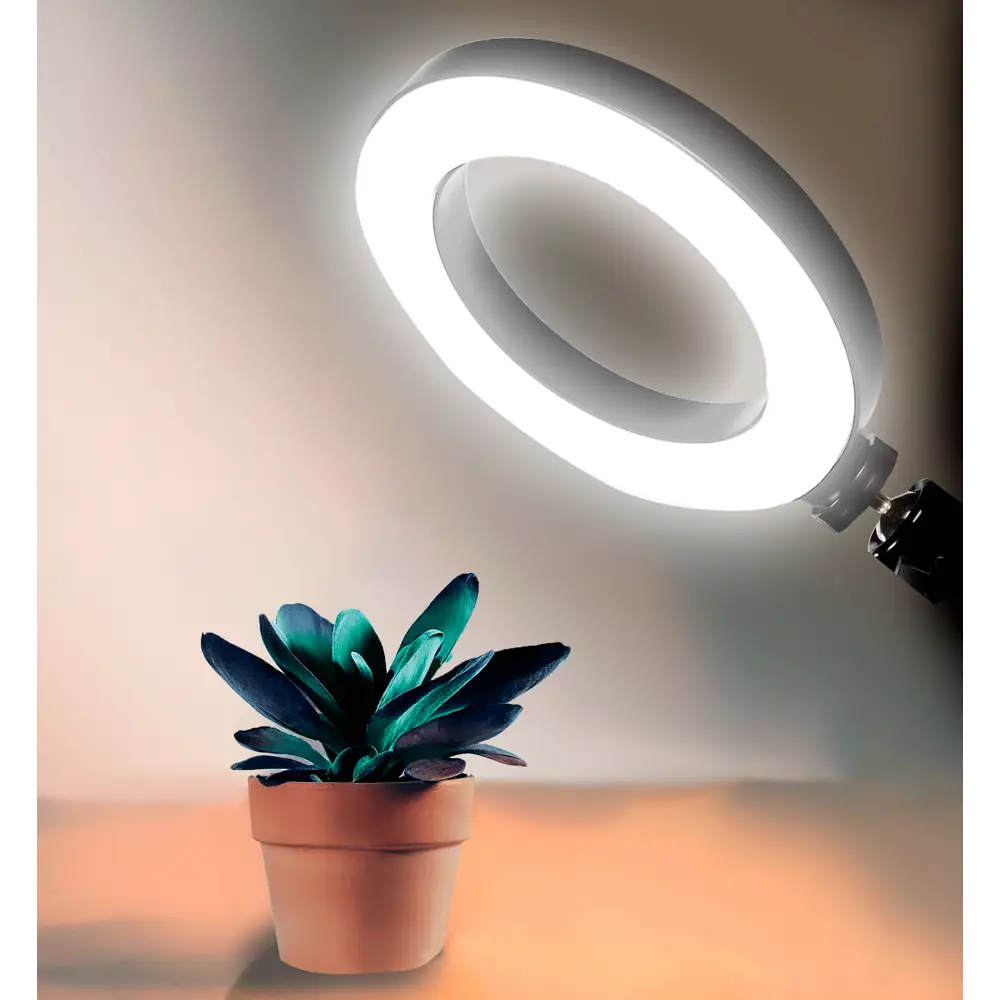 Santreyd Кольцевая LED-лампа 30 см с держателем для смартфона 85600164 STLM-0910365 - Вид №3