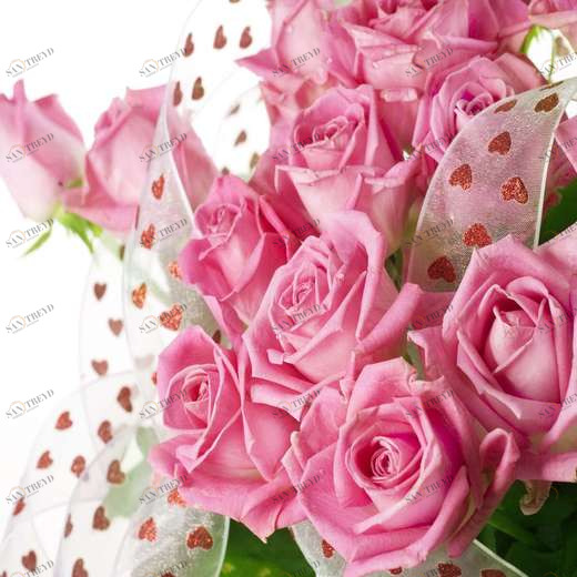 WP00948 Фотообои Verol Фотообои decoline 1х1 м