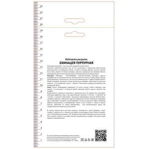 Эхинацея пурпурная Магнус Супериор 89452315 STLM-2031937