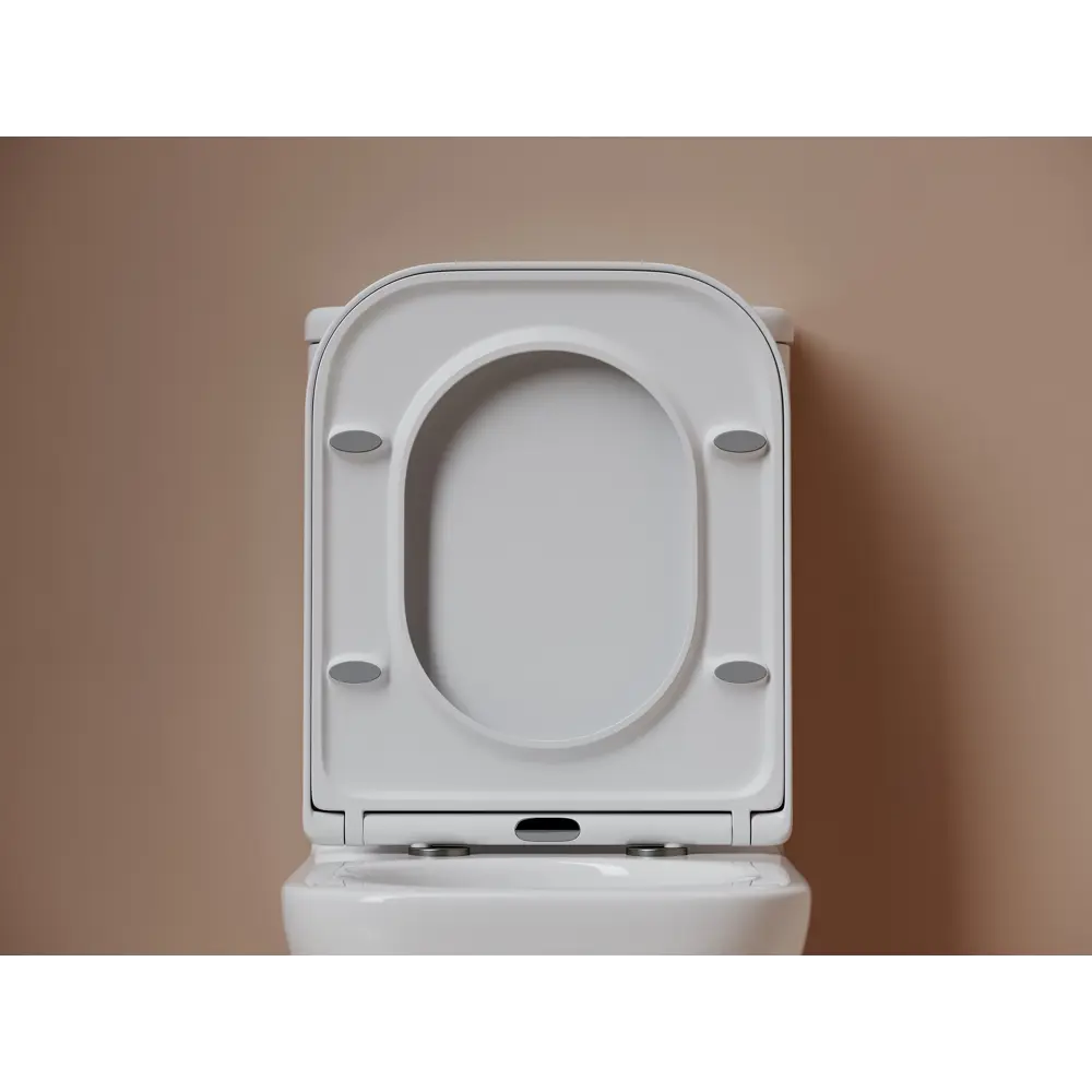 Унитаз-компакт Flo Square безободковый сиденье с микролифтом двойной смыв цвет Santreyd STLM-2064416 - Вид №8