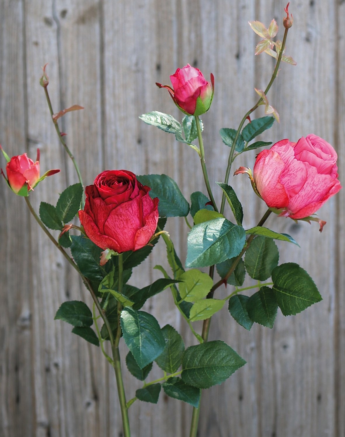 2628 444 a3 Искусственная роза, 1 цветок, 1 бутон, 80 см, красная H-andreas  - Вид №3