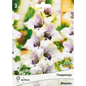 Гладиолус бамбино Веракс, 3 шт. 89351775 STLM-2087290