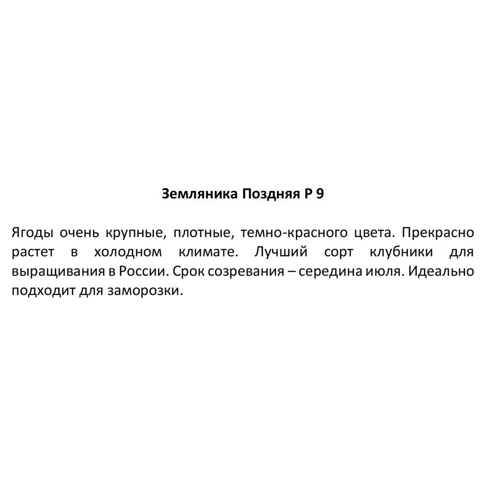 Земляника поздняя ø9 h20 см 83248468 STLM-2100310 Santreyd  - Вид №2