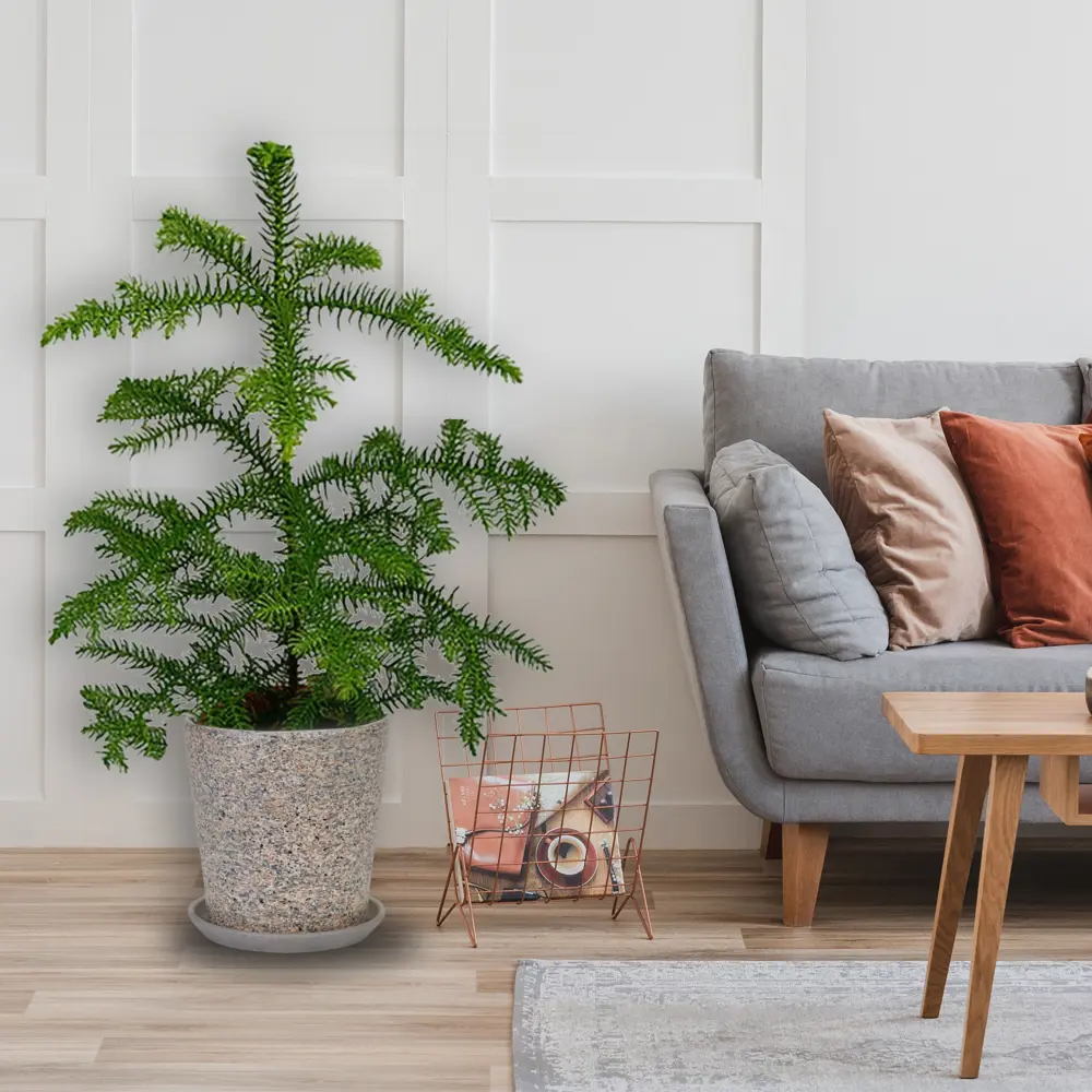 Santreyd Горшок «Лунный камень» для комнатных растений 83406097 STLM-0041005 - Вид №3