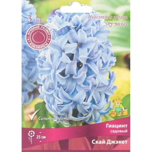 Гиацинт садовый Скай Джэкет, 3 шт 85204961 STLM-2154056