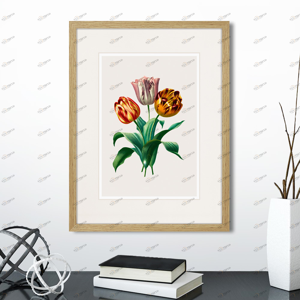 Литография на тонированной бумаге 42х32 см Botany illustration №23, 1836г. КАРТИНЫ В КВАРТИРУ  264496 Белый;коричневый;разноцветный 