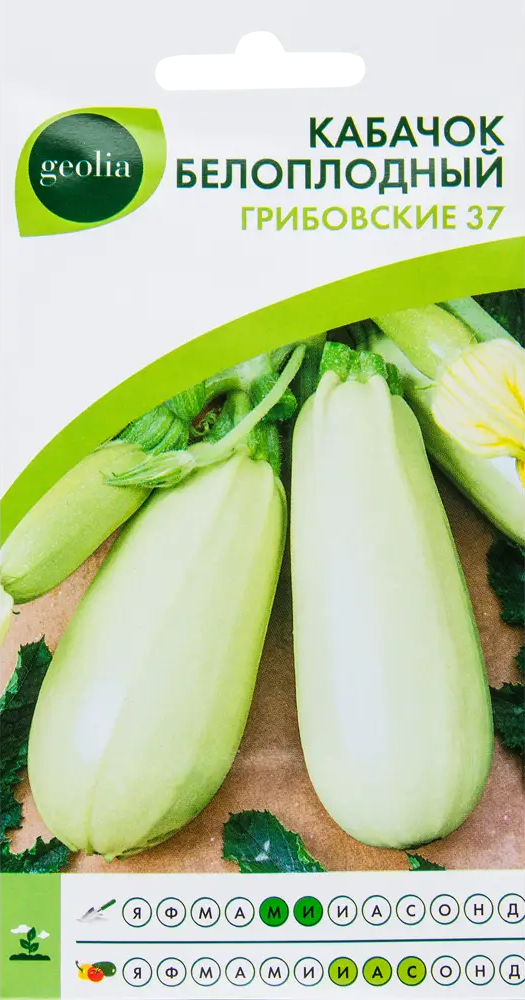 Семена кабачка белоплодного Geolia Грибовские 37 - ранний урожайный сорт 17584701