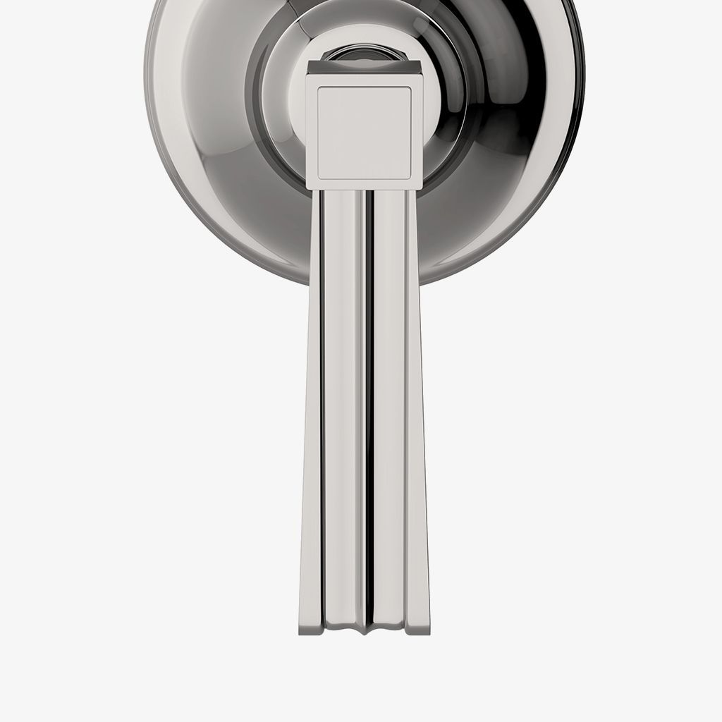 BDVC48 Облицовка клапана регулировки объема Boulevard с металлической ручкой рычага Waterworks - Вид №1