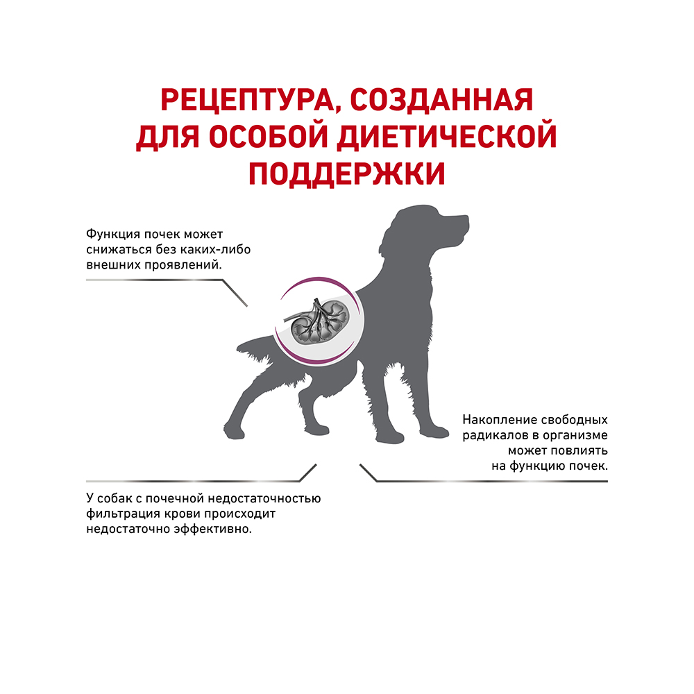 ПР0056148 Корм для собак Vet Diet Early Renal при ранней стадии почечной недостаточности сух. 2кг ROYAL CANIN  - Вид №2