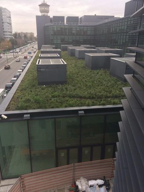 POLYGLASS Гидроизоляционные мембраны для зеленой кровли Green roof sun-id-1496732 - Вид №3