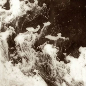 Арт-панель на холсте Alex Turco Liquid Dreams Brown Souls