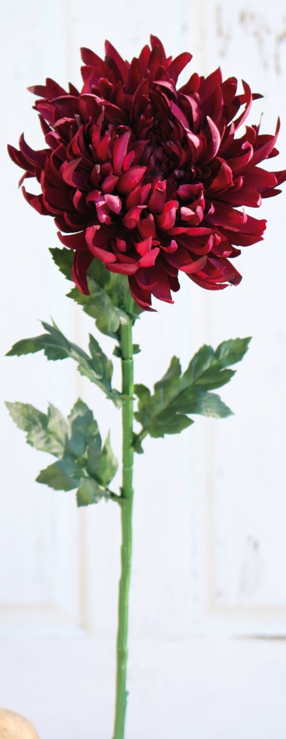 3411 499 a3 Пластиковая хризантема, 62 см, антично-темно-красный H-andreas  - Вид №1