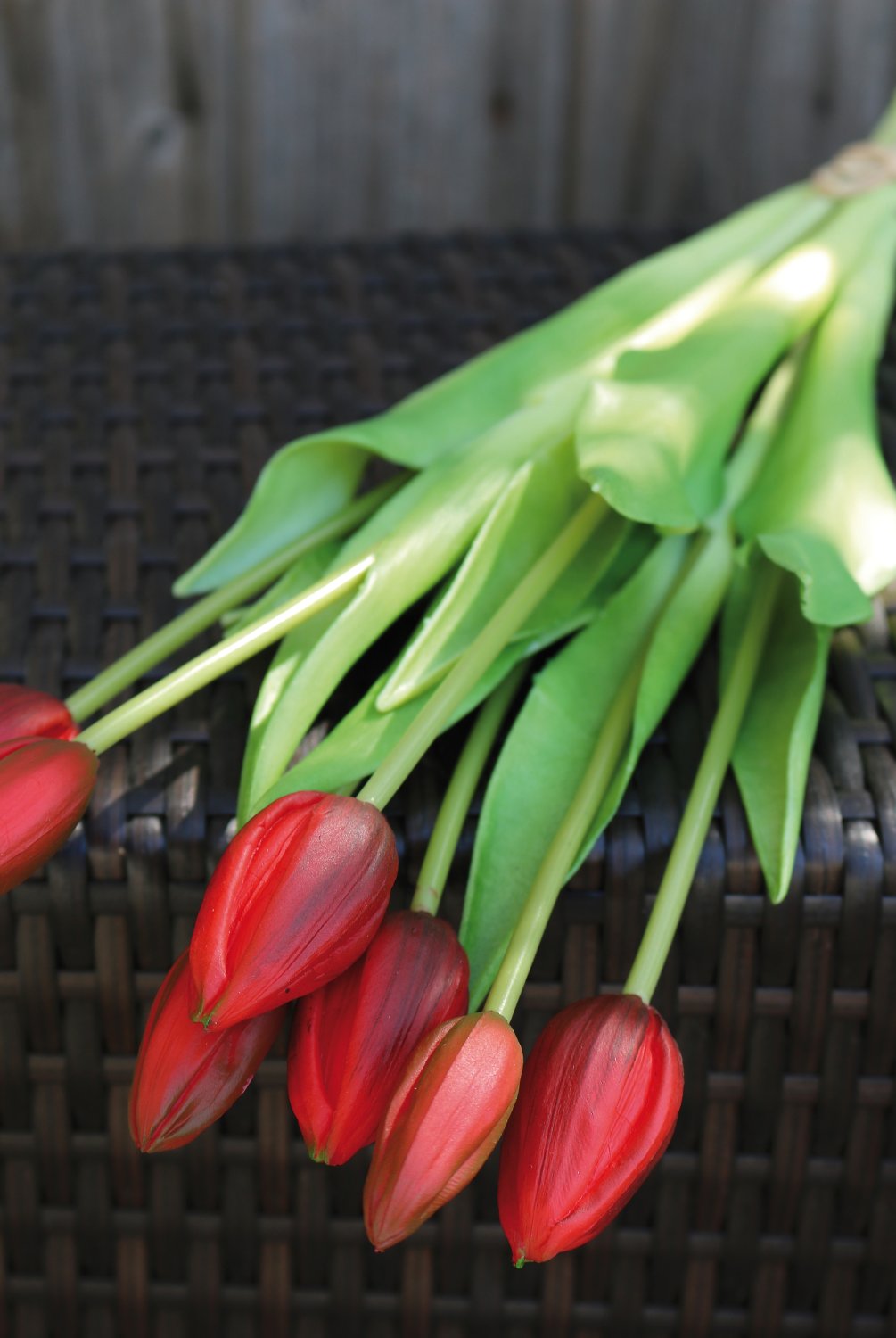 2942 444 a3 Букет искусственных тюльпанов, 7-кратный, 44 см, real touch, красный H-andreas  - Вид №4