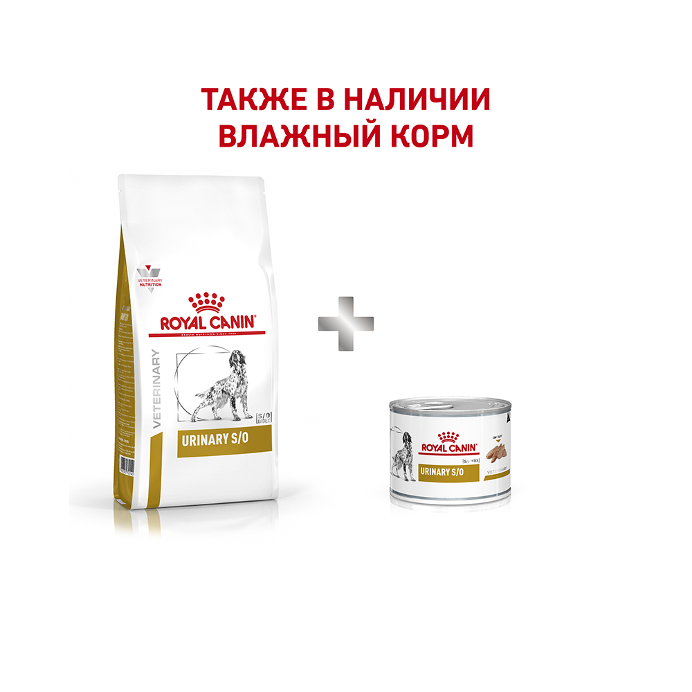 Т0023215 Корм для собак Vet Diet Urinary S/O LP18 при мочекаменной болезни сух. 14кг ROYAL CANIN  - Вид №5