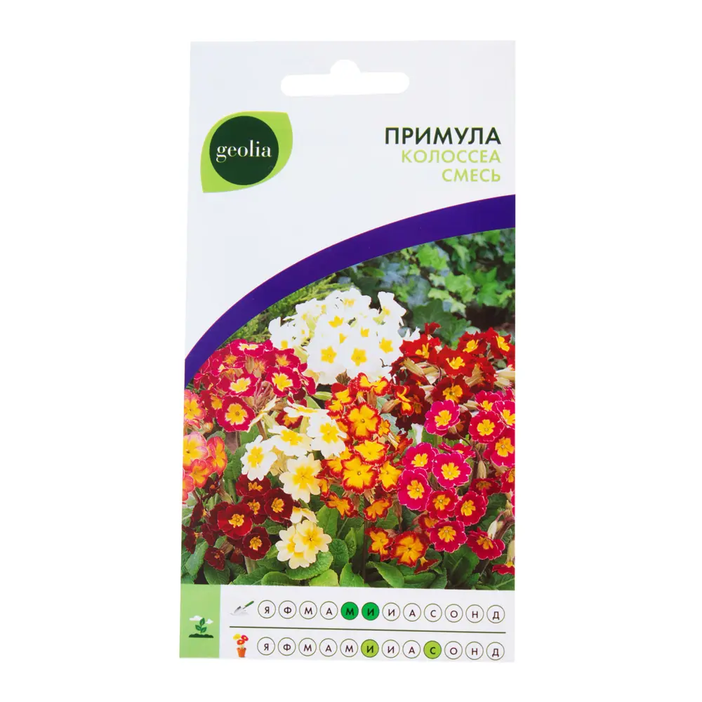 Примула Geolia «Колоссеа» смесь окрасок 17585674 STLM-2130685 