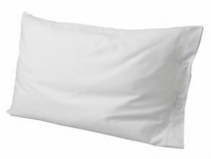 PS_50 подушка 50/75, чехол хлопок сатин, начинка 100% шелк GINGERLILY