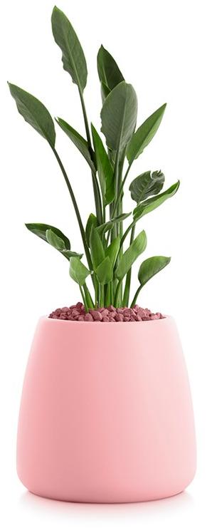 Diabla Пластиковый садовый горшок Gobi sun-id-1365765 - Вид №1