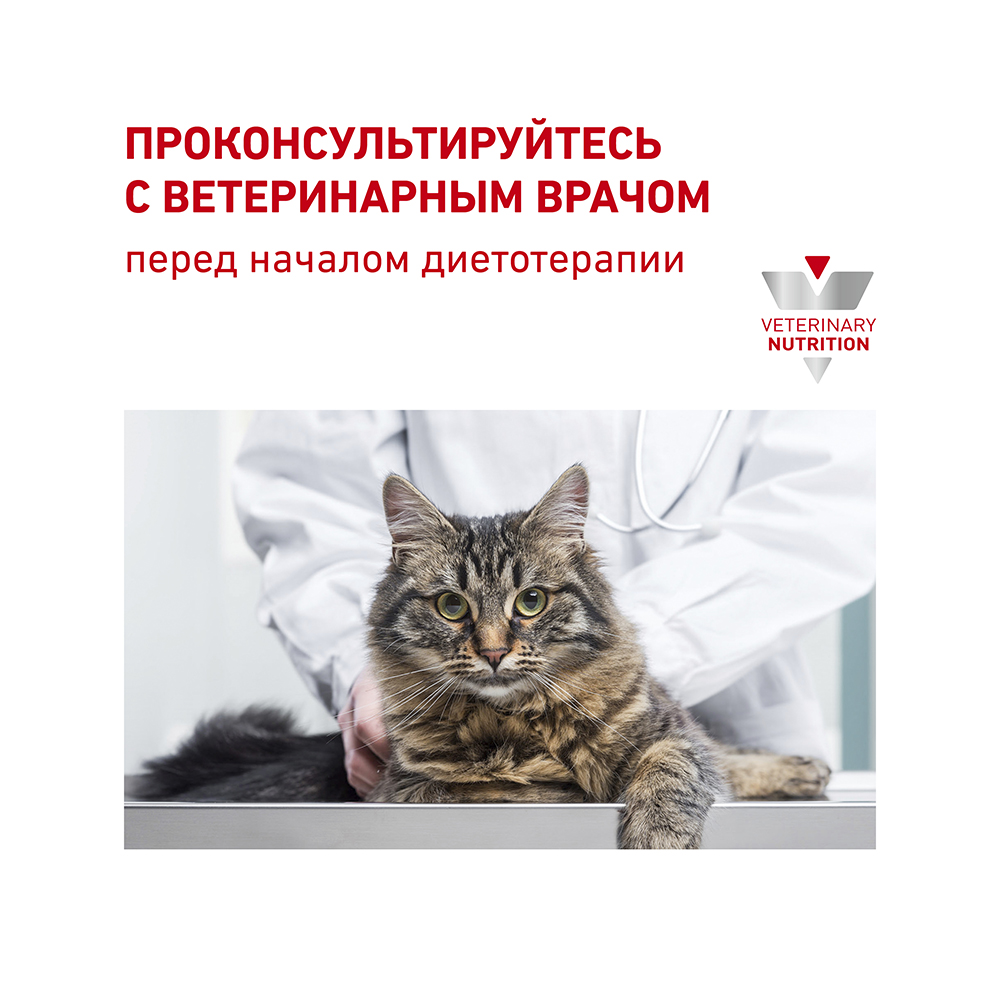 Т0044167 Корм для кошек Vet Diet Gastro Intestinal при нарушении пищеварения, пауч 85г ROYAL CANIN  - Вид №7