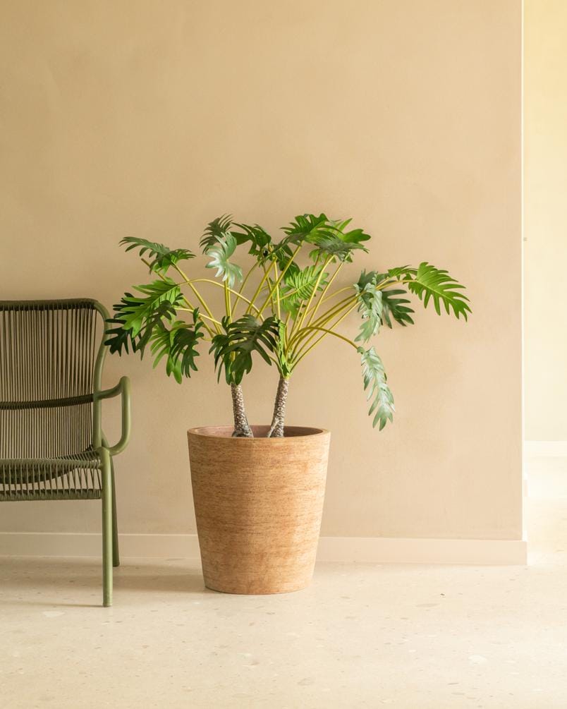 Круглый глиняный садовый горшок Vincent sheppard SAYA ARCH-00149835 - Вид №1