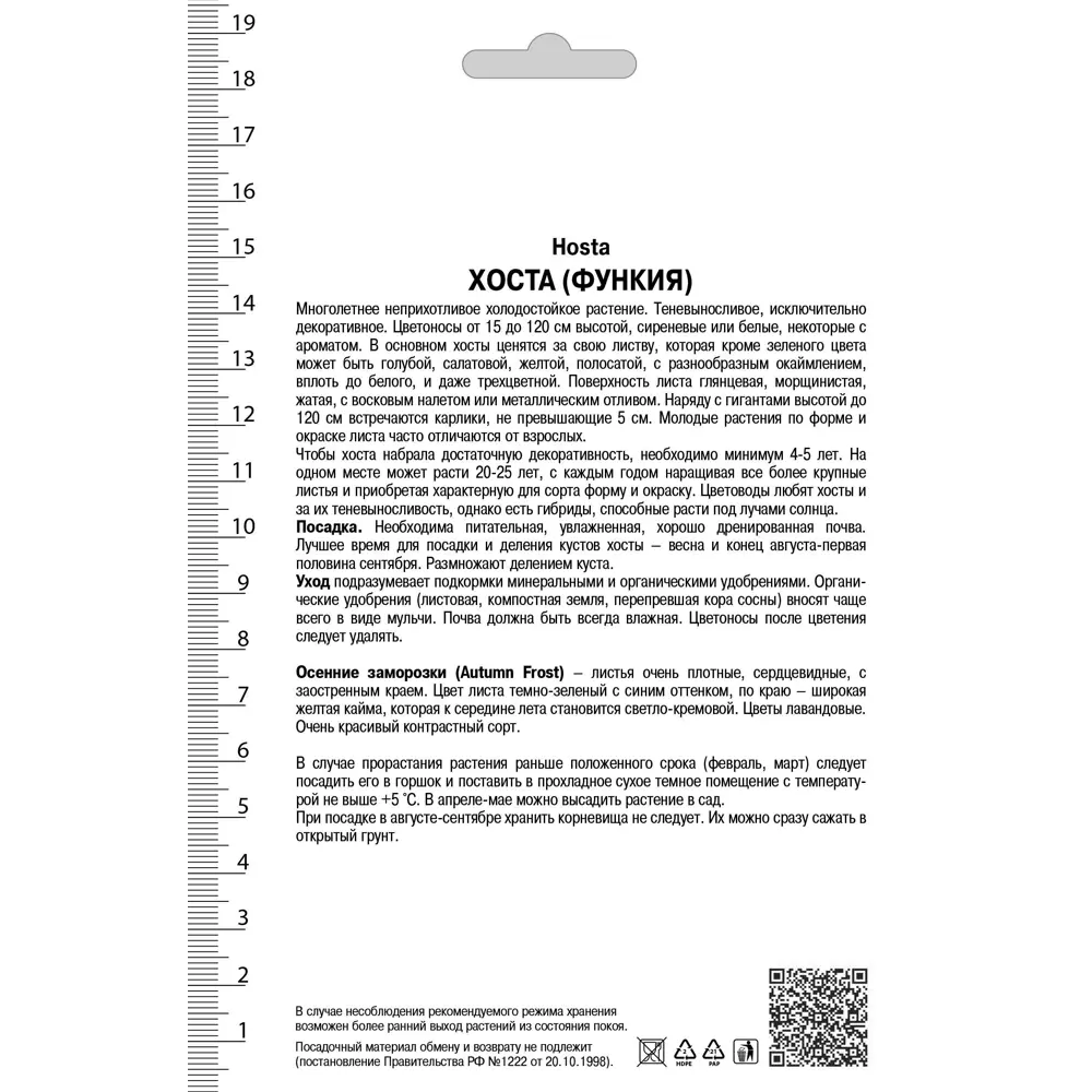 Santreyd Хоста «Отем Фрост» — многолетник с декоративной листвой 82530260 STLM-0950729 - Вид №1