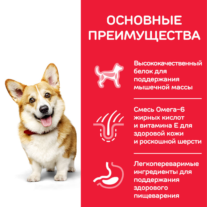 ПР0019719 Корм для собак Hill"s для миниатюрных пород, курица, индейка сух. 300г Hill's  - Вид №3