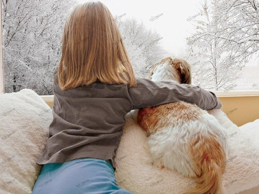 3M Italia Оконная пленка для солнечных батарей Protezione e sicurezza 3M Company sun-id-1436223