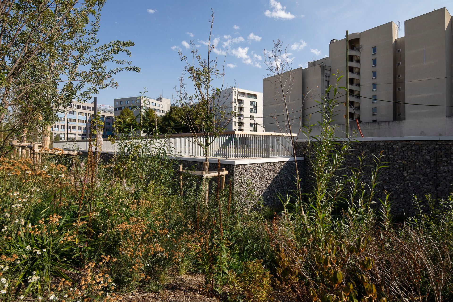 Стальной перила с порошковым покрытием Urbencéa VARN ARCH-00055330 - Вид №1