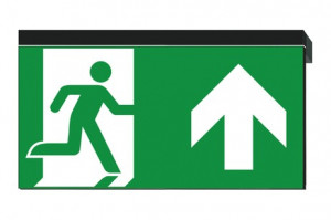 DST-1519 Ikus 320-p Daisalux Светильники сигнальные Черный